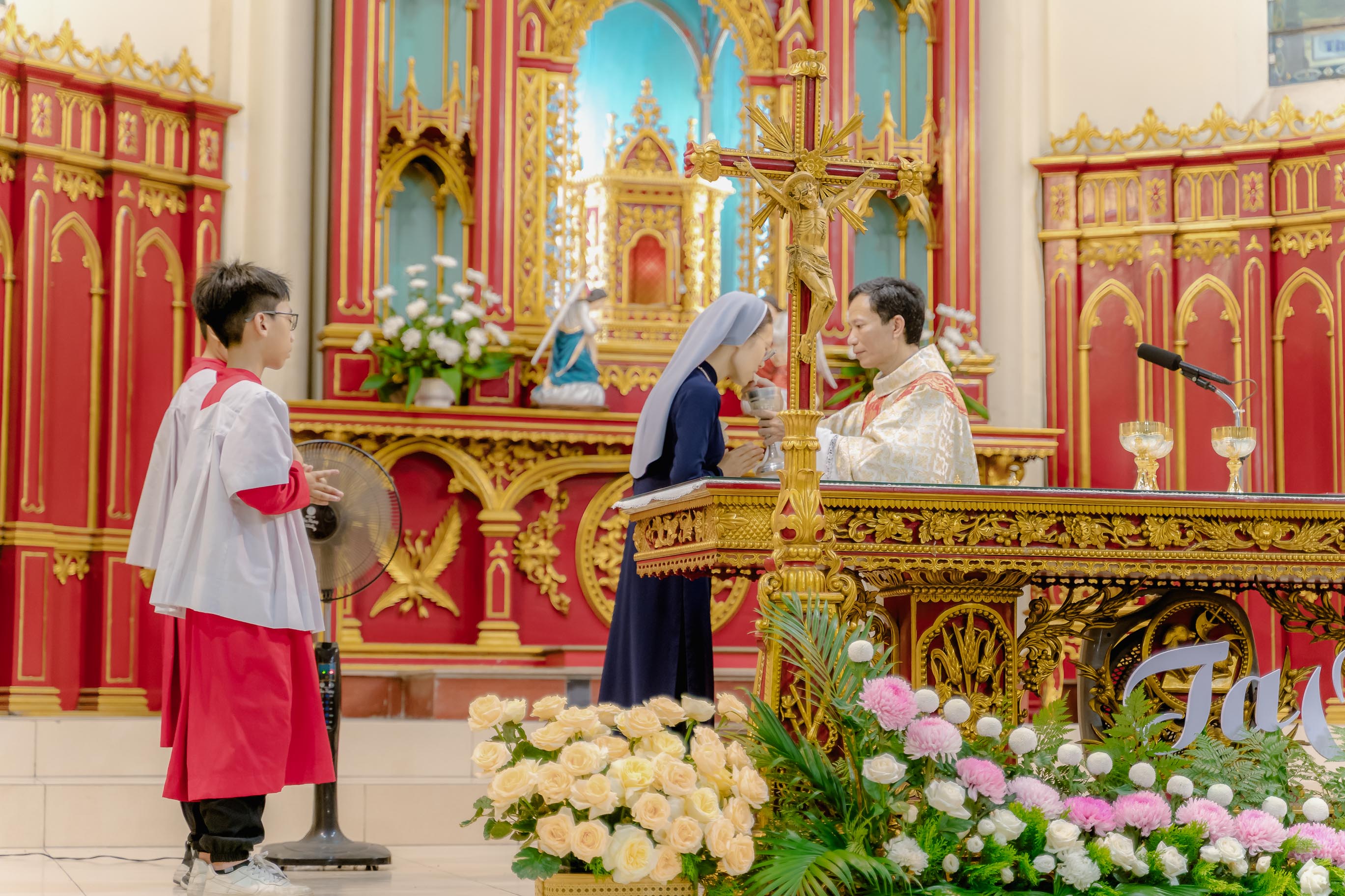 Photo-6